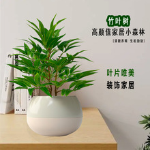 北歐風熊貓竹葉樹仿真綠植室內盆栽辦公室桌面小擺件仿生植物假樹