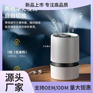 Origin and Supply Air Purifier Household Negative Ion Purifier Smoke Odor Removal Formaldehyde Air Purifier