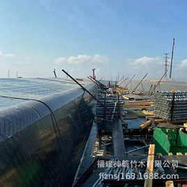覆膜板18mm厚木板桥梁用高层建筑基建用中南神箭清水模板全整芯