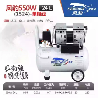 Fengbao Industrial-Grade Air Pump Hava kompressorları - 550-24l