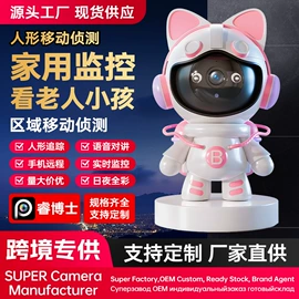 监控摄像机;其他记录设备;其他防盗器材