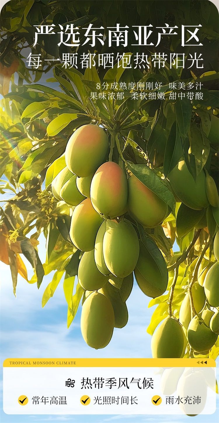 d2eb150c-92ef-4364-a49f-2be730c0ea03.jpe