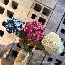 ���~�������������֧��֧�Ҿ��b廨��c�������l�����߼���