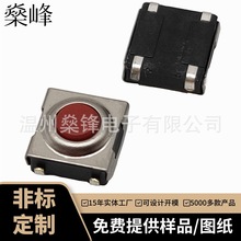 6.2*6.2*3.1�NƬ�N�_��ˮ�p�|�_�PSKHUϵ���m�_�P늴Št�p�|�_�P