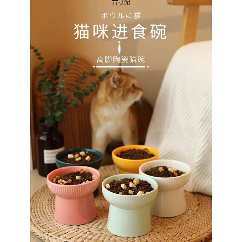 고양이 그릇 높은 발 목 보호 세라믹 그릇 고양이 그릇 검은 턱 매트 컬러 유약 세라믹 애완 동물 그릇 작은 개 그릇 도매