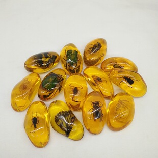 �S�����l���x����Y���˱�����ϐ��֩��֪���x��Y��ԭʯ��ͯ�ƌW