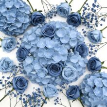 �{ɫϵ���滨��Y�û��ű����ٻ������Y�b��滨�����쾰����