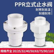 20PPR止回阀立式单项阀全塑热熔活接逆止阀25 32 63 110管件配件