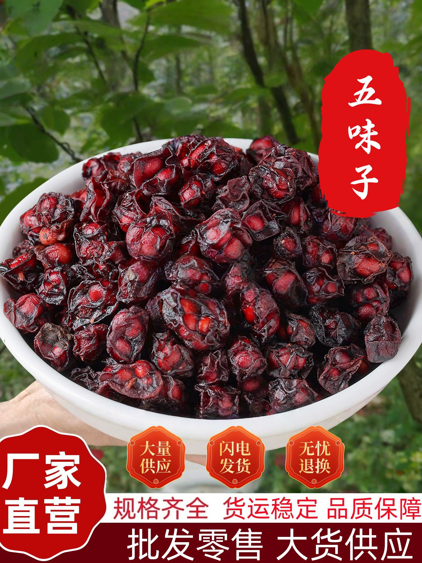 Wu Wei Zi Schisandra Berries Whole Dried Chinese Herb for Tea and Decoction 10g Bag overview