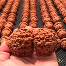 ?������� �ؔ���������ְѼ��䌦����y ���ֺ���