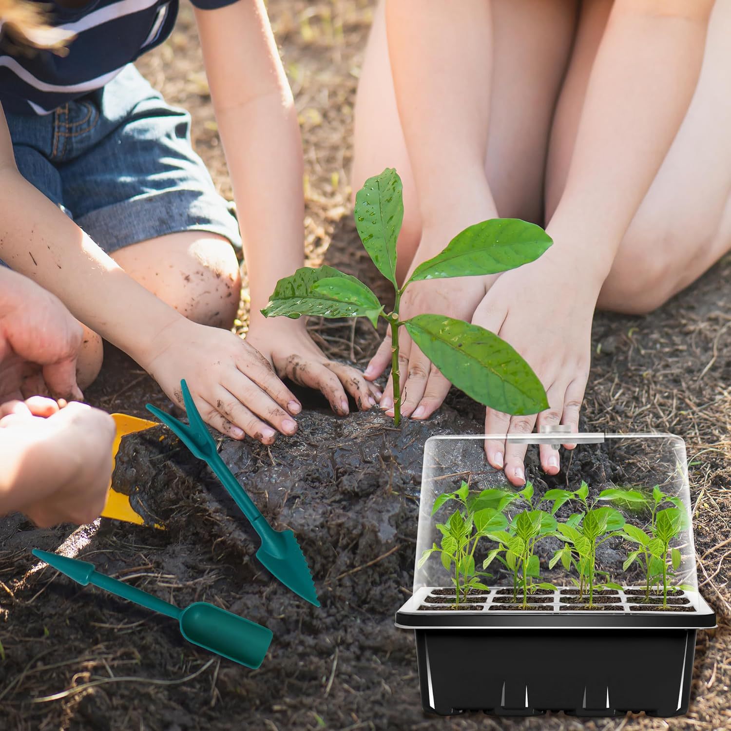 81uZOIwGyOL._AC_SL1500_