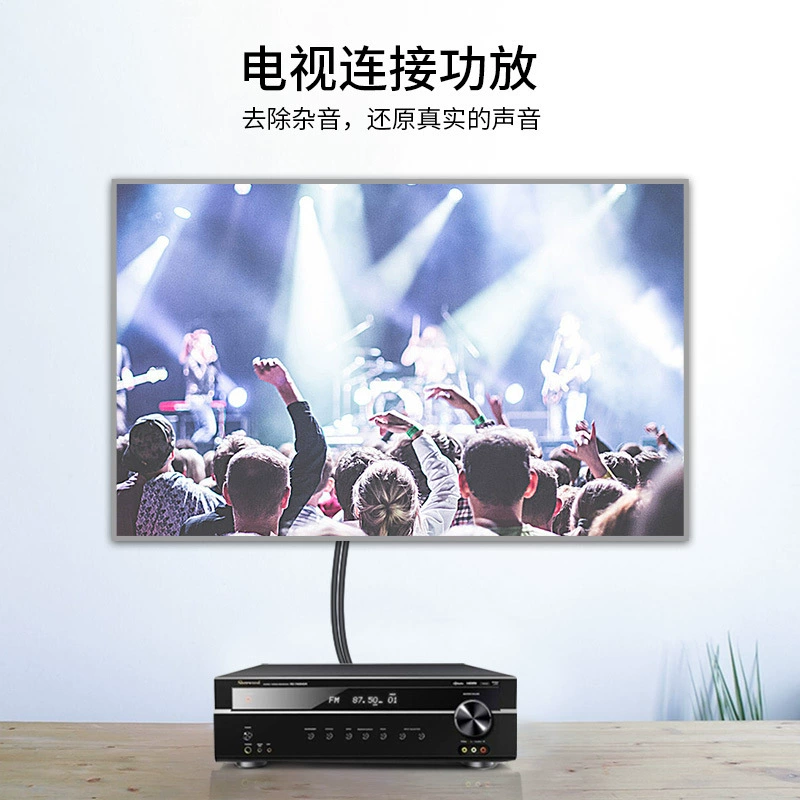双莲花 两对 2RCA 转 2RCA 连接线 电视 音频 AV 音视频线