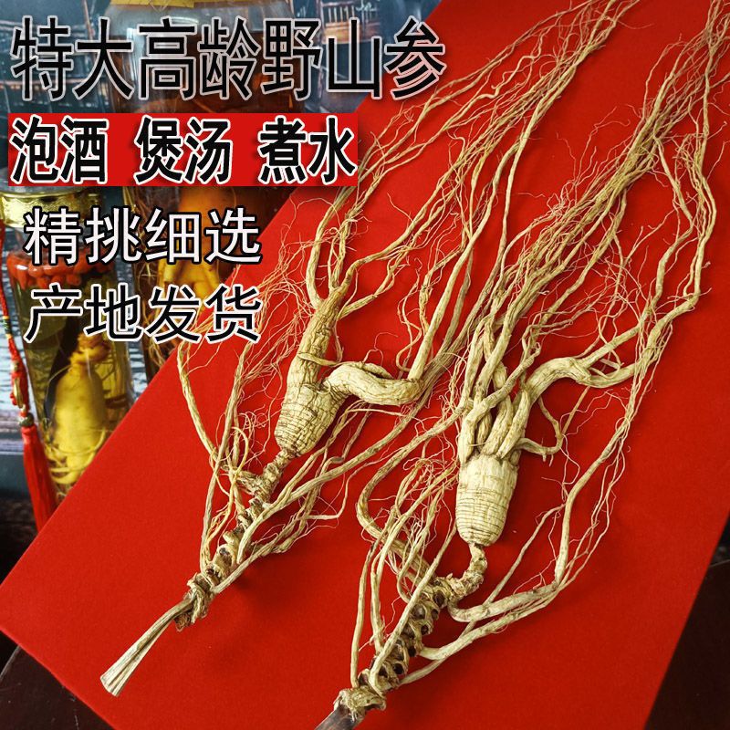 Changbai Mountain wild ginseng wine medicinal materials Life people…