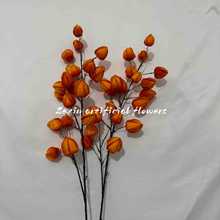 ������\�����滨�ٻ��߼��мҾӿ͏d�[�O������������Ͱ�廨��Ʒ