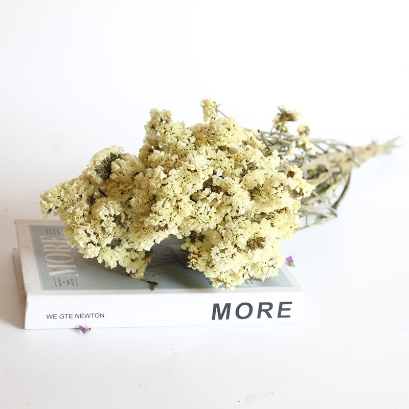 Flor seca Flor eterna Gypsophila Bola de oro No me olvides Flor seca Rosa hoja de eucalipto Pine Fruit Lover Grass al por mayor