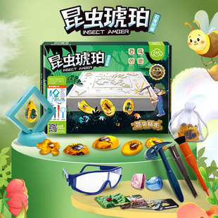 Cross-border insect Amber archaeological excavation gem toy suit children's handmade DIY exploration treasure hunting blind box specimen