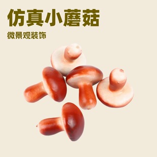 ������ĭСĢ�� diy΢���^��������ɭ�������zӰ�b�Ʒ���l