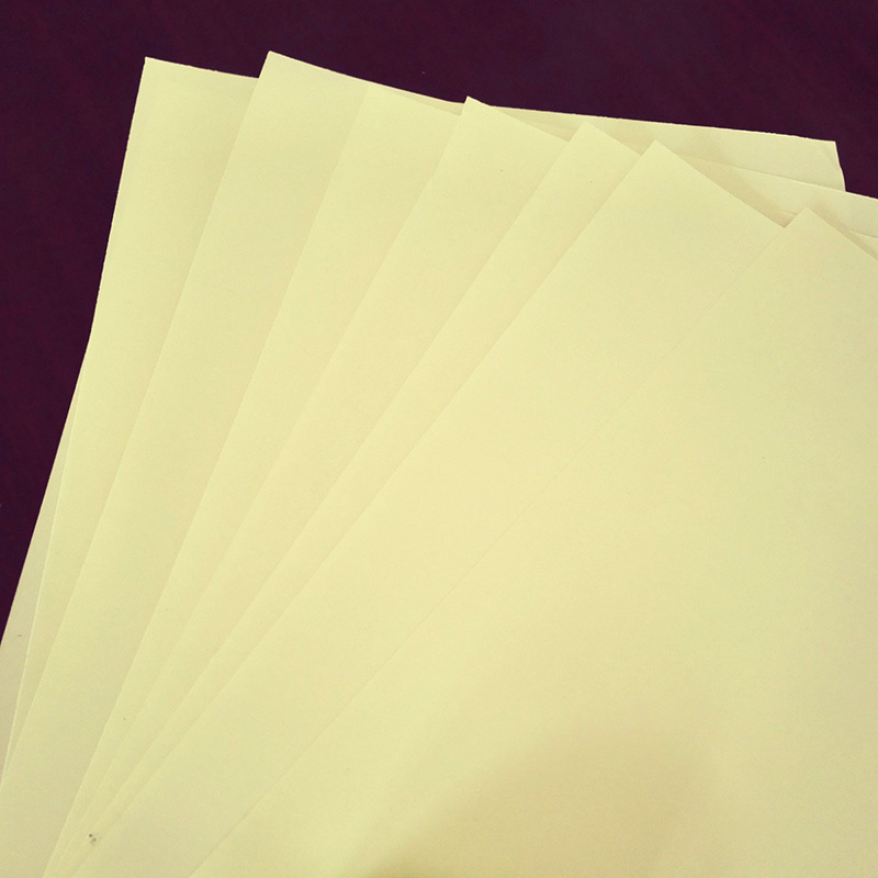 4466195833_1996872758