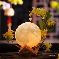 中秋挂件氛围月亮灯摆件中秋灯笼手工diy制作材料包儿童手提花灯