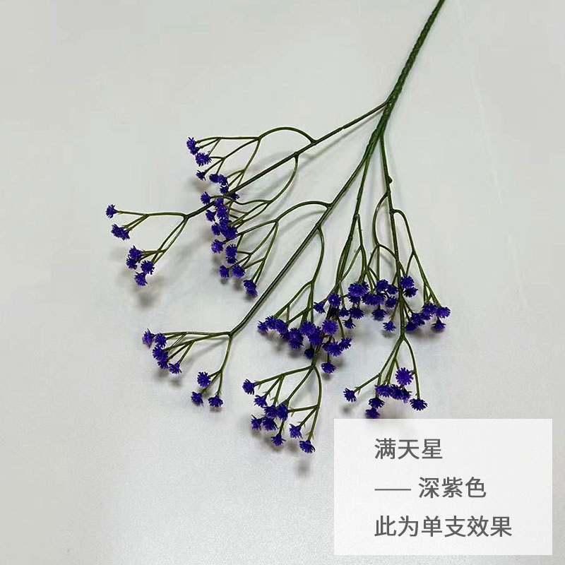 다크 퍼플