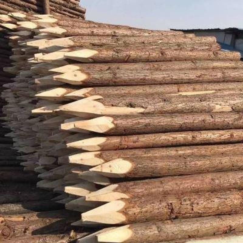 河道打桩木河岸堤坝湖泊加固抗风化特性显著延长使用寿命本地发货