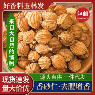 �Ĵ���ɰɢ�b���l��ɰ�������u�ϻ�偵��ϟ��������u��ȥ������
