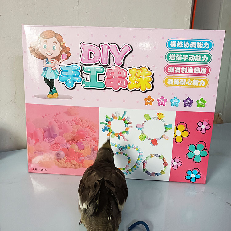 WA032020WB Girls' Brain-Teasing DIY Bead Bracelet Toy Hobby Class Kindergarten Boxed Gift