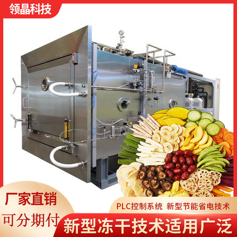 广东领晶科技真空大型商用冻干机果蔬海鲜药材箱式冷冻干燥设备