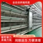 层叠式a型养殖养鸡蛋鸡笼