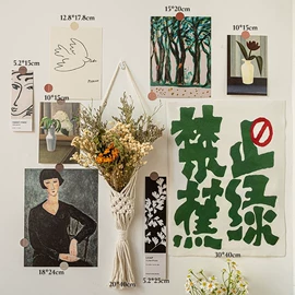 壁挂、壁饰;花盆装饰;玩具收纳