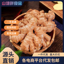老姜生姜批发新鲜蔬菜姜云南小黄姜土姜辛辣调味料月子姜一件代发
