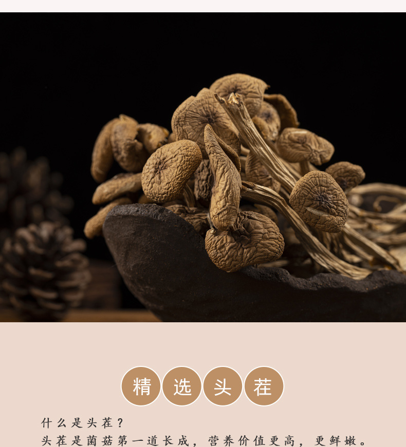 2023不开伞茶树菇_03