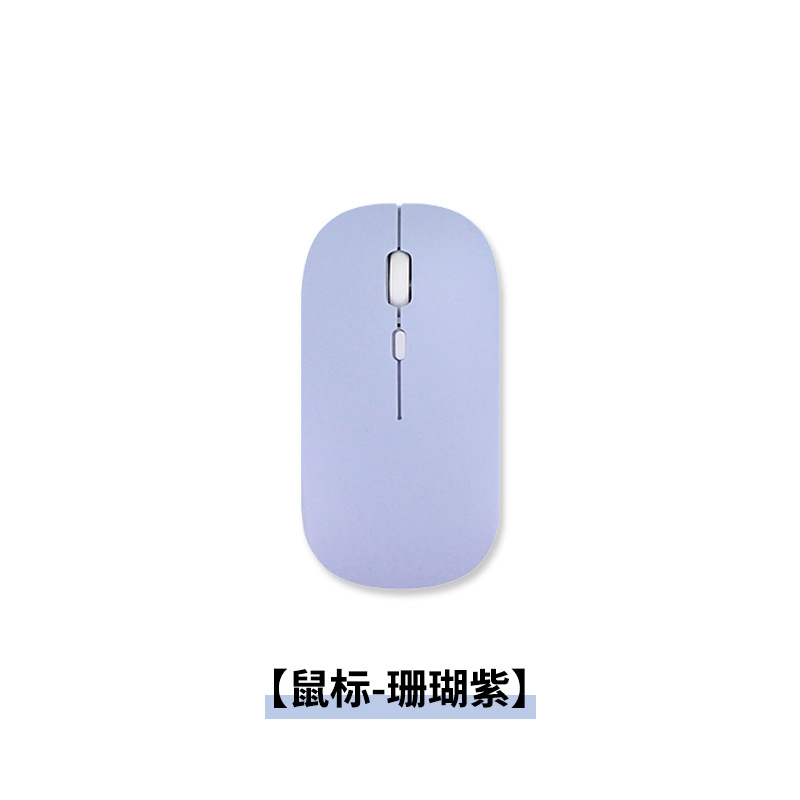 마우스-산호 보라색