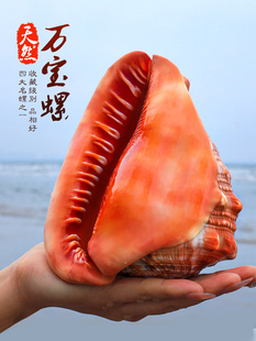 �f������Ȼ�����Ĵ������~��ؐ���쾰ˮ��Ҿӵ�̨�b�Ʒ�[��