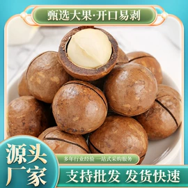 混合坚果;瓜子;梅类