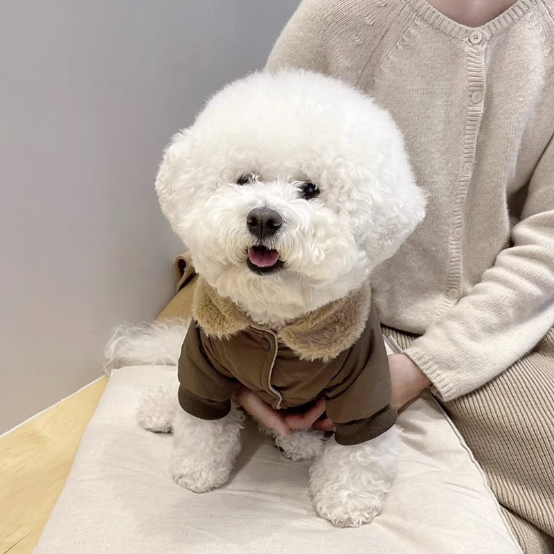 Mascota de algodón acolchado abrigo de tracción engrosada abrigo cálido oso de peluche medio y pequeño perro Otoño e Invierno gato ropa para mascotas image 5