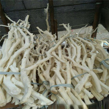 70YF干树枝去皮本色龙骨杆树杆白树枝树干装饰干枝枯枝树杈杆壁挂