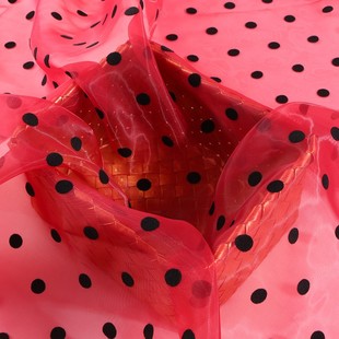 Wֲqc ŮȹӷbWͯbȹW