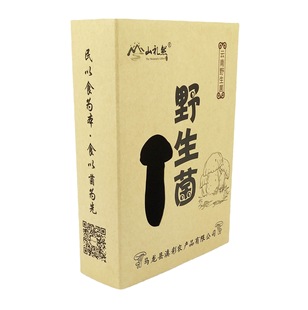Gallinobacteria Packaging Box, Bacterial Product Gift Box, Local Product Gift Box, Boletus Gift Box, Matsutake Mushroom Box Customization
