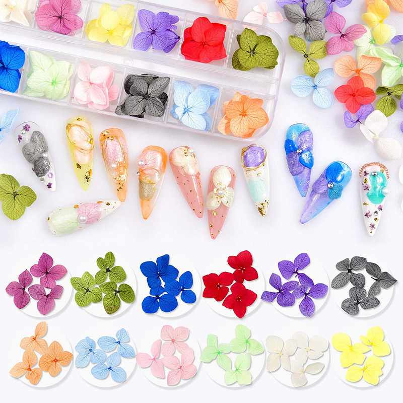 Nail Art Nail Art 24 Color Dried Flower Mini Real Natural Flower Nail Art Supplies 3D Decal Nail Decoration Sticker