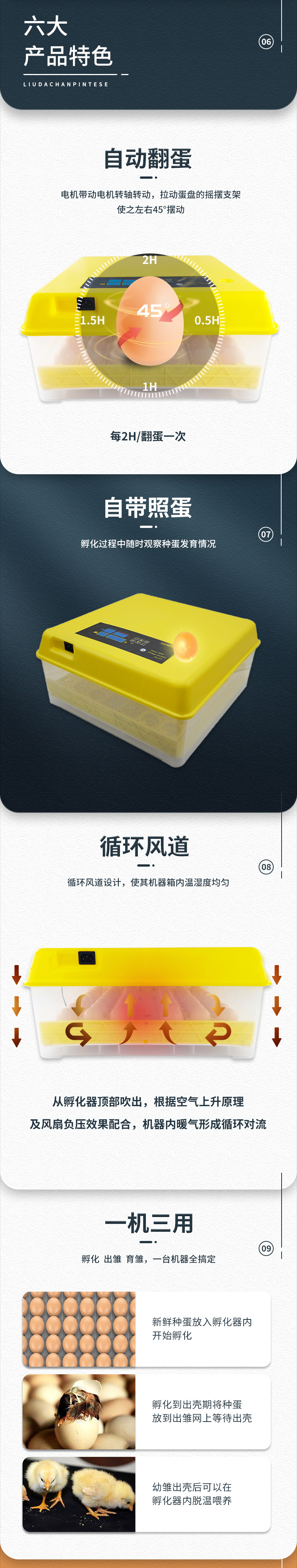 48枚单电源（花篮蛋盘）已修改_04