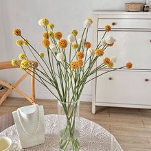 ���滨 5�^�S�����ѹ�Ӣ���Ҿӿ͏d�b廨�[��ܛ�b�����Ĕz����