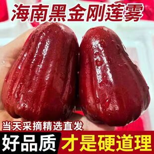 �������������ڽ���ɏ�F�Fժ�����Fɏ����Ů���������rˮ�����l