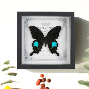 �Ҿ��b�/����/���I�Y�� ��ľ�ֹ�Diy�b[̨������˱�չʾ��