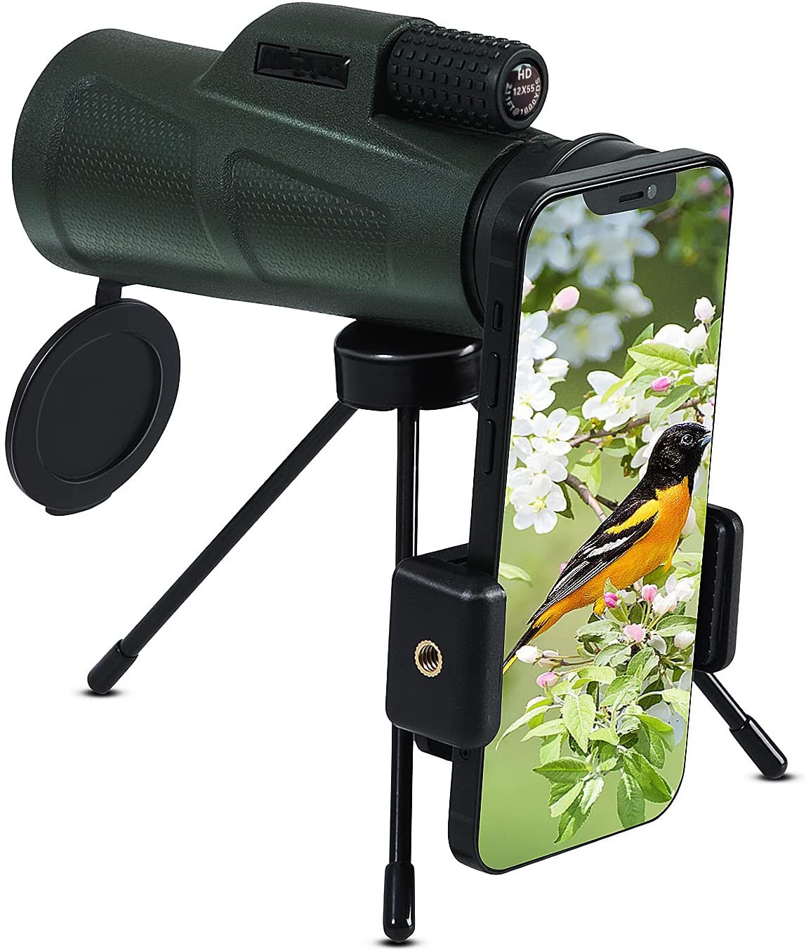 71bQQdvkJOS._AC_SL1500_