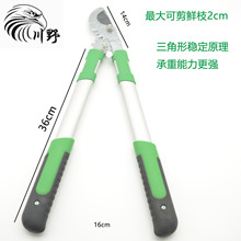 Сʿ֦ü@ˇߴ޼ÎԭbͨÑ