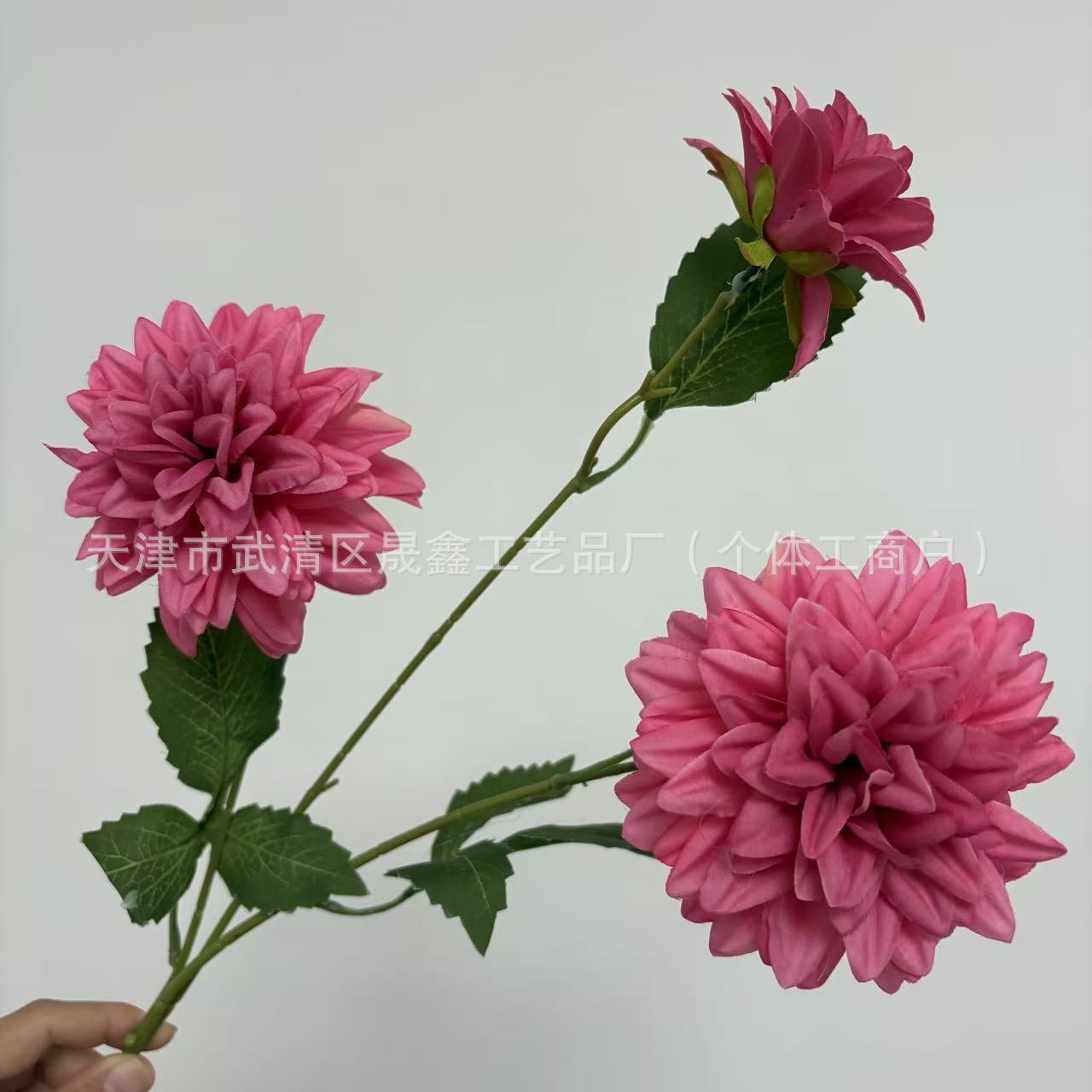 로즈 핑크