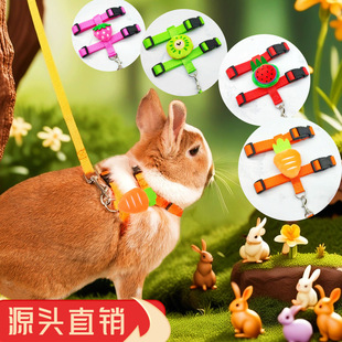 Cross-Border New Product Rabbit Fruit Leash Small and Medium-Sized Dog Leash Cat Leash Dog Leash Outdoor Traction Cat Leash