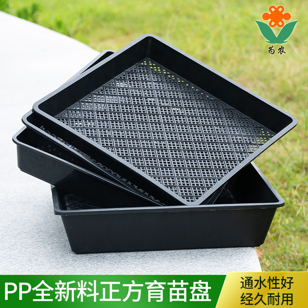 Greening planting pot container plate Buddha armor planting plate…