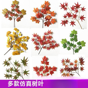 ����t���~�@�ֹ����b���ͩ���~�ә����y���~�＾��֦��ɽ���~